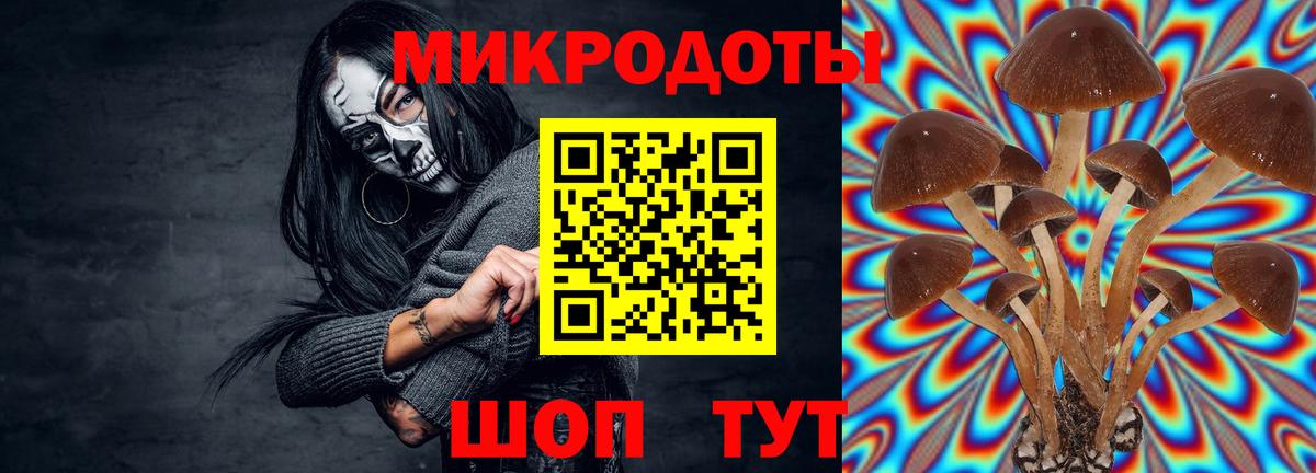 Псилоцибиновые грибы Psilocybine cubensis  Вход с VPN  Раменское 