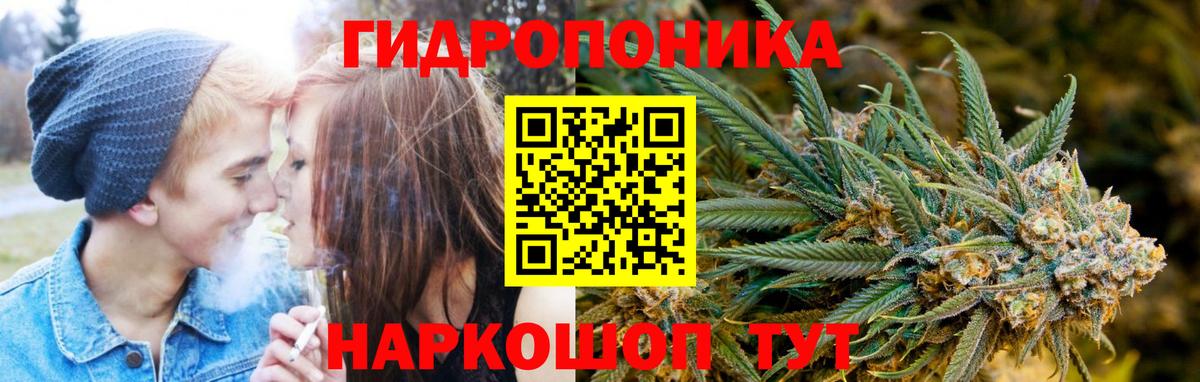 Каннабис планчик  Вход с VPN  Марихуана тримм  Раменское  Шишки марихуана OG Kush 
